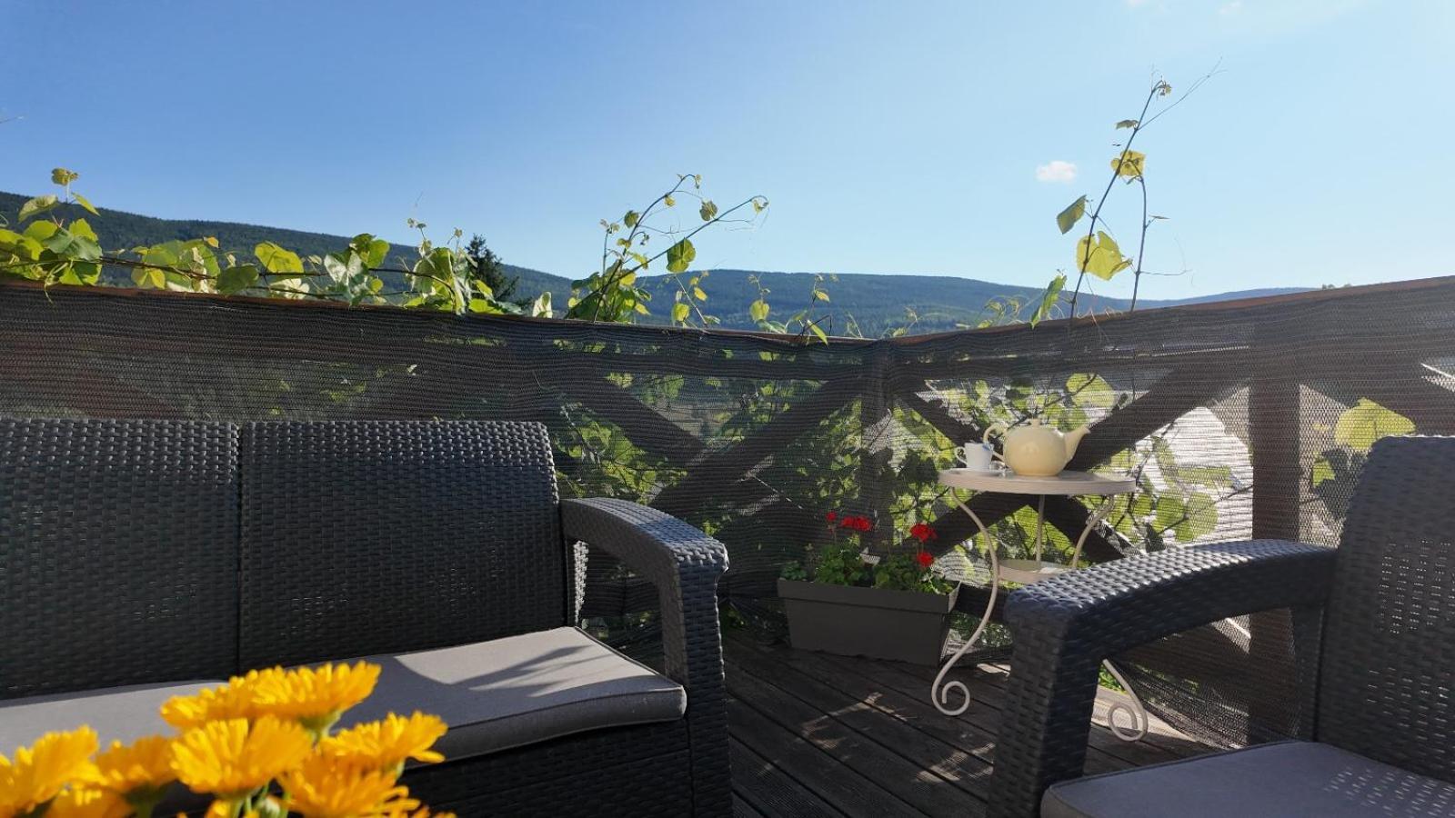 Apartamento Strefa Ciszy -Lawenda Świeradów-Zdrój Exterior foto